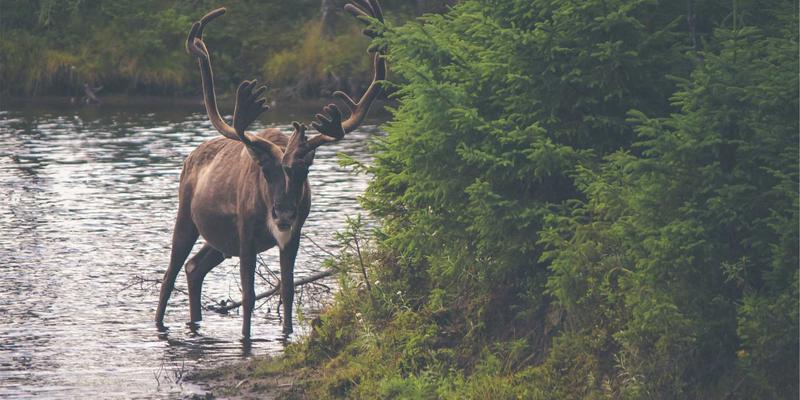5G通信设备中高频电子元器件的核心要求：电子元件供应商与嵌入式系统的关键挑战