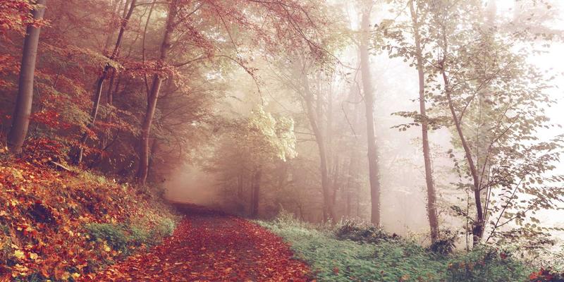 从SiP到Chiplet：高密度封装技术如何重塑嵌入式系统与PCB设计