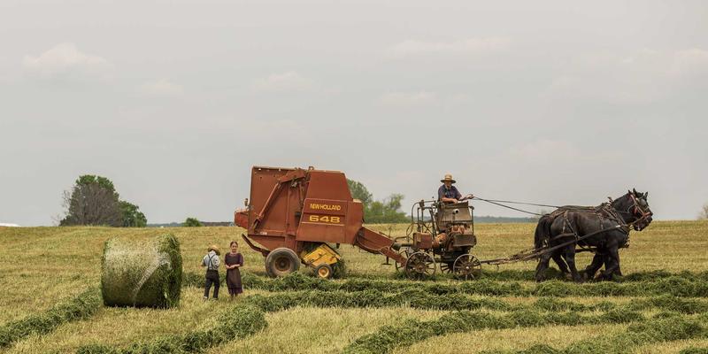 从电路设计到嵌入式系统：电子元器件供应链的假货检测技术与采购风险规避策略