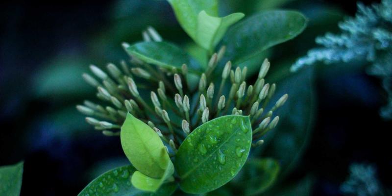 嵌入式系统开发如何选择优质电子元件供应商？以爱迪希特为例的深度解析