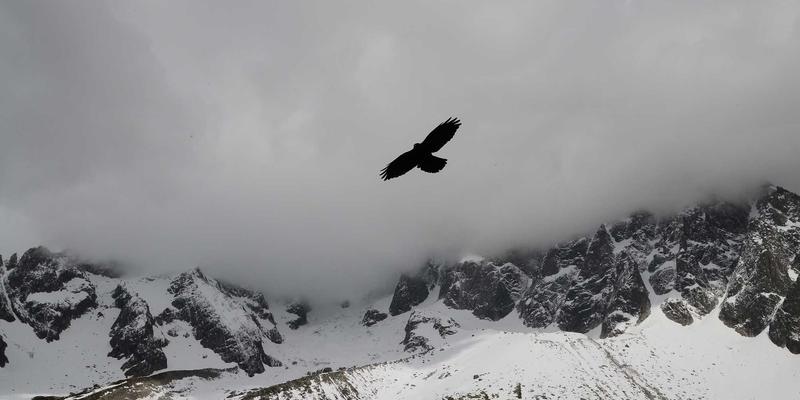 工业自动化硬件开发指南：PCB设计与电子元器件的环境适应性三要素