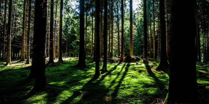 爱迪希特：电子元器件与电路设计的创新融合，赋能高效PCB设计