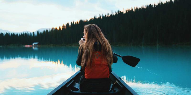 电子元器件51：嵌入式系统的心脏与电子元件供应商的战略选择