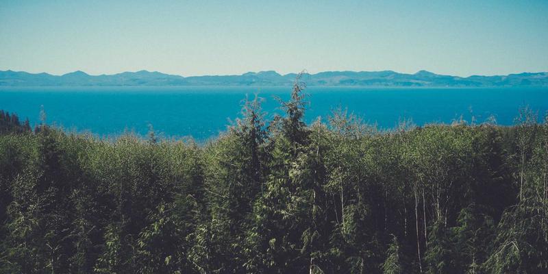 电子元器件64：爱迪希特如何赋能电路设计与PCB设计创新