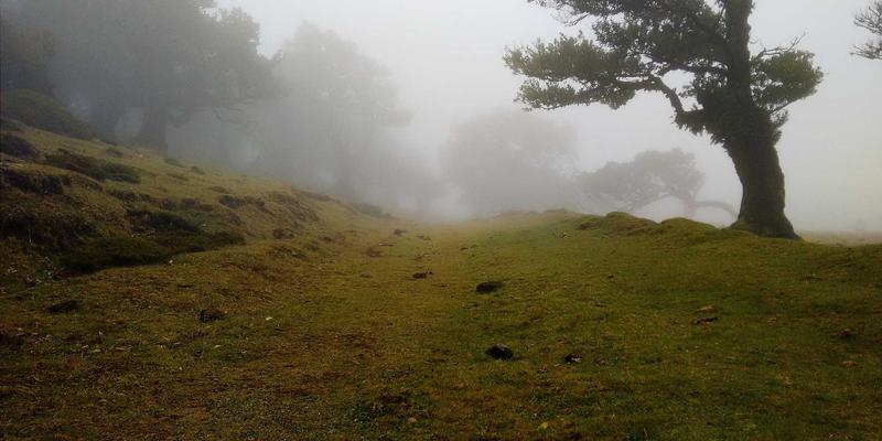 电子元器件与嵌入式系统：现代电路设计的核心要素解析