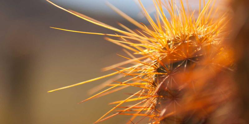 电子元器件失效分析全流程：从嵌入式系统现场故障到PCB实验室微观检测