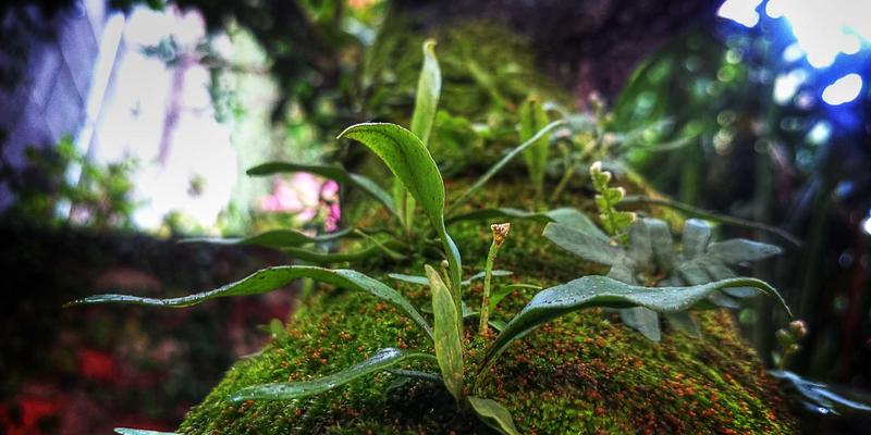 电子元器件攻略:从PCB设计到嵌入式系统的核心要点解析